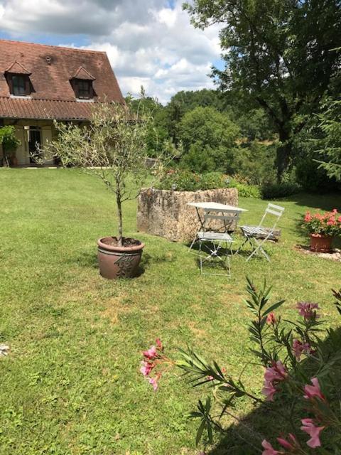 Chambre D'Hotes Lasserre Saint-Amand-de-Coly 외부 사진
